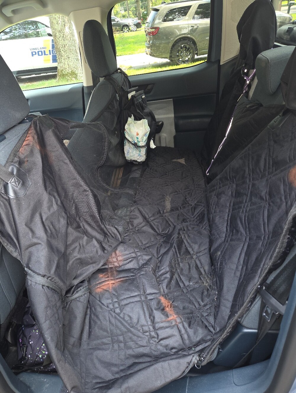 Black Waterproof Dog Car Seat Cover - Universal Back Seat Protector